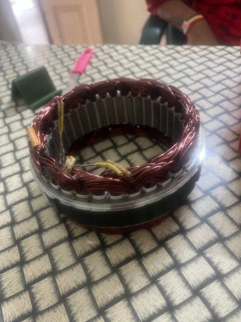 Lucas TVS 26218958 stator assembly lead wires with braided sleeves close-up — terminal layout verification photo
