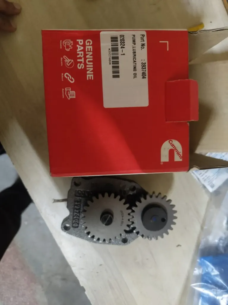 Cummins 3937404 lubricating oil pump carton
