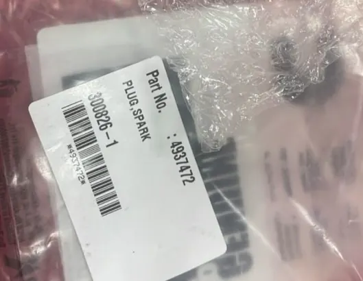 Cummins 4937172 PLUG SPARK bag label 300026-1